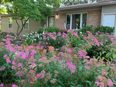 Charming 3-bedroom home in Mt Pleasant near colleges, Casino and children parks