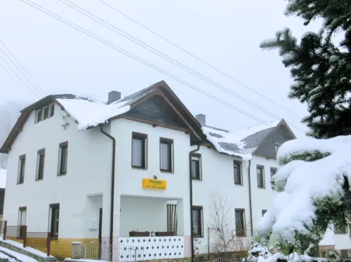 Cozy Apartment Near Ski Hotels in Muldenhammer