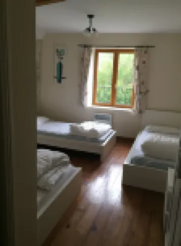 Les Vieilles Ombres - Pineau