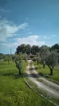 Olive Tree Villa Hotels in Alezio