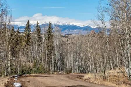 Off-Grid Forest Getaway w/ WiFi on 4 Acres