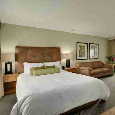 Surfer Beach Hotel Rooms