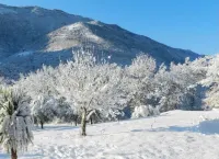 Small 2P in the heart of the mountains Отели в г. Пуге-Тенье