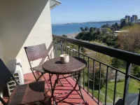 Beautiful apartment with ocean and volcano view -Balneario Pelluco
