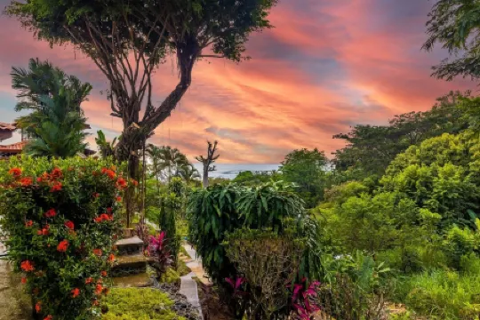 Exotic Iguana Apartmentos 1