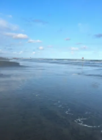 Cozy and Spacious House, Well Ventilated. with Barbecue Grill