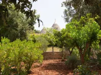 Holiday Home in Valle d'Itria with Pool