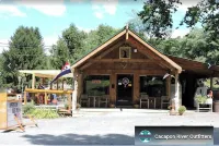 Cozy and Quaint Hotels in 