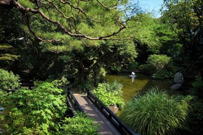 ホテル周辺 鶴巻温泉 元湯陣屋の写真
