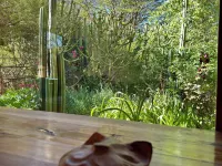 hostal qachisolcor Hotels in San Pedro De Atacama