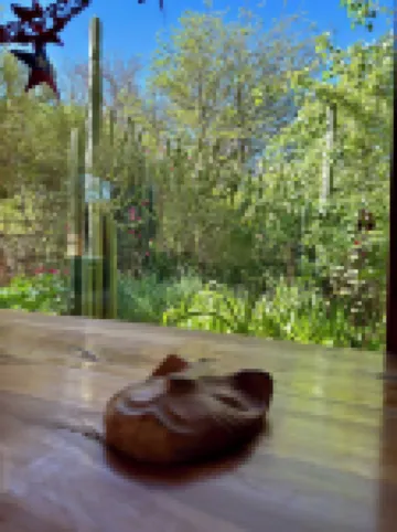 ホスタル カチソルコル のホテル