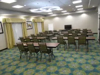 ホリデイ イン エクスプレス ホテル & スイーツ ヒューストン NW-ブルックホロー by IHG カーバック・ブルーイング周辺のホテル
