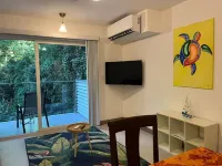 Stunning 2 Bedroom Apartment in Punta Esmeralda , Costa Rica - balcone