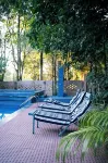 Wilderness camp Resort Pench - Pools