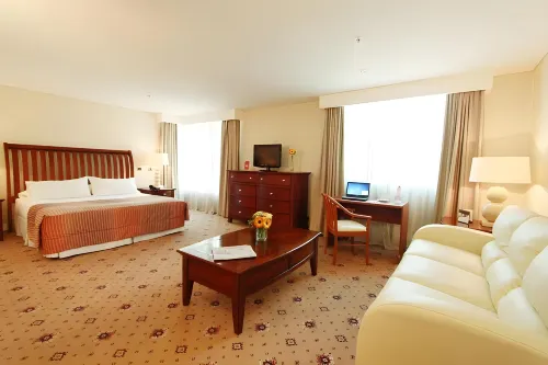 Hotel Torremayor Lyon