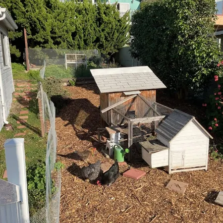 StarLitSands - Comfortable 2-bed house in Cayucos, view of Morro Rock and Ocean