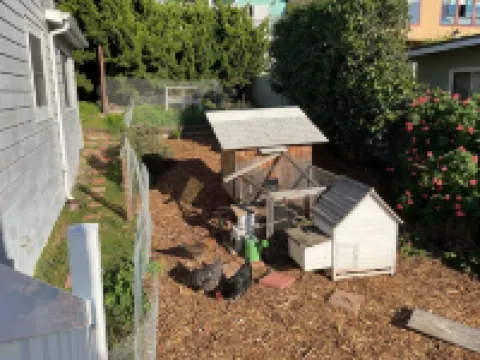 StarLitSands - Comfortable 2-bed house in Cayucos, view of Morro Rock and Ocean