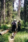 The Prairie Rose Guesthouse-  Strawberry Wilderness at your Doorstep