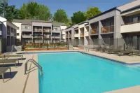 Courtyard Birmingham Homewood - Pools