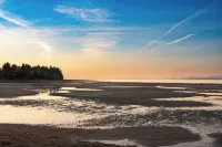 海緣海濱酒店 - 沙灘