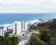 강릉 사천스테이195펜션