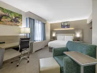 Best Western Plus Pioneer Park Inn Hotels in Fairbanks