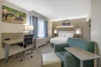 Best Western Plus Pioneer Park Inn