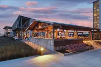 The Lodge at Gulf State Park, a Hilton Hotel - bar
