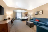 Comfort Inn & Suites Tavares North - Pet friendly