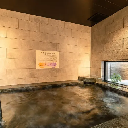 Super Hotel Premier Nagoya Sakuradoriguchi