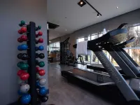 Ibis Vitoria Aeroporto - Gym
