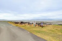 Hot Tub & Puget Sound View! Whidbey Island Retreat - Strand