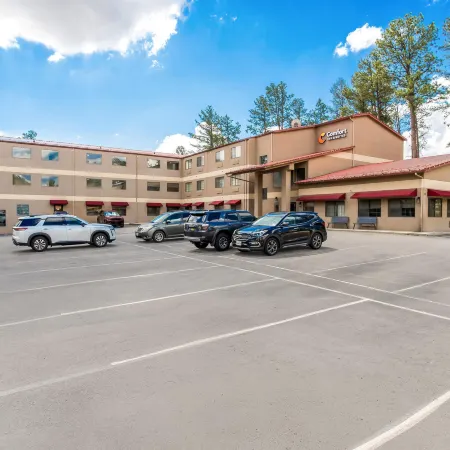 Comfort Inn & Suites Midtown