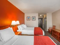 Comfort Inn & Suites University Hotels near Westbrook C Train