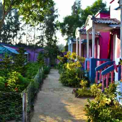 Sharma Guest House Others