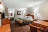 Quality Inn - Bares