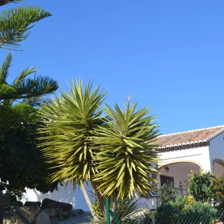 Cozy Rural Tourism Accommodation in Huetor