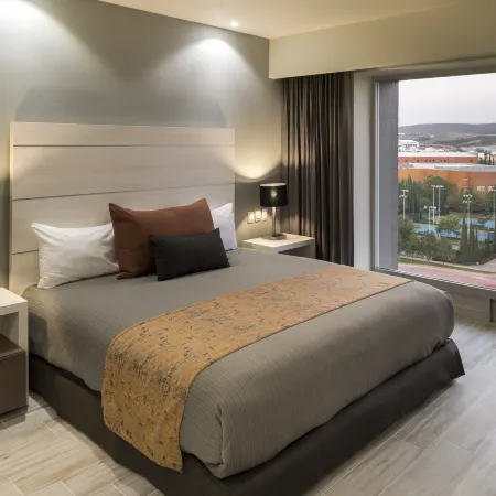 Real Inn San Luis Potosi Отели рядом с достопримечательностью «Парк Тангаманга»