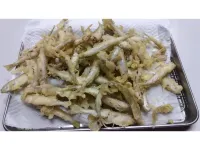 C.T.Forest Hotels in Oshino