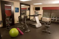 Hampton Inn Tomah Hotels in Tomah