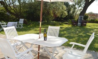 Birk House Bed & Breakfast - Housity