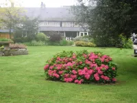 Hotel de France Hotels in Pontorson