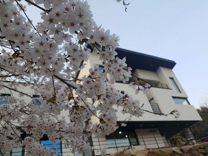 숲속 펜션 전경