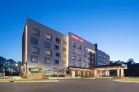 Hampton Inn by Hilton Smithfield Selma Hotels in Smithfield