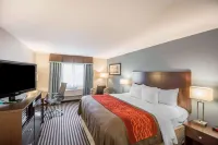 Quality Inn - 2 stjerner
