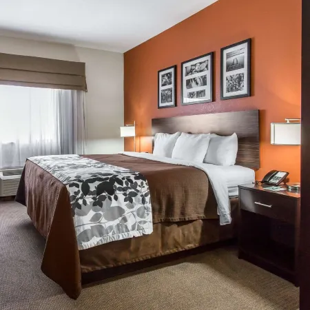 Sleep Inn & Suites