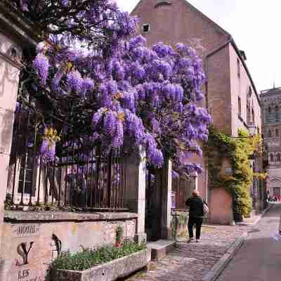 Les Glycines Vezelay Hotel Exterior