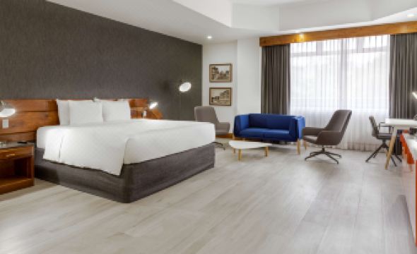 1. 래디슨 호텔 산..