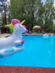 Grey Squirrel Resort