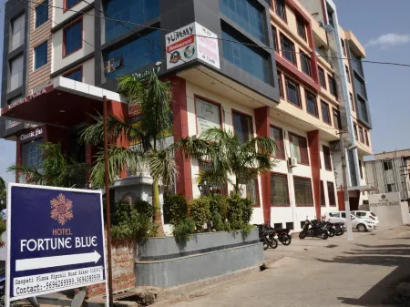 Hotel Fortune Blue Отели в г. Сикар
